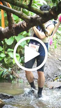 BIB:  <button type="button" onclick="openModal(27824230)" class="btn btn-primary btn-sm float-right" data-toggle="modal" data-target=".modal-high-quality">
                <i class="fa fa-download"></i> Download
                </button>